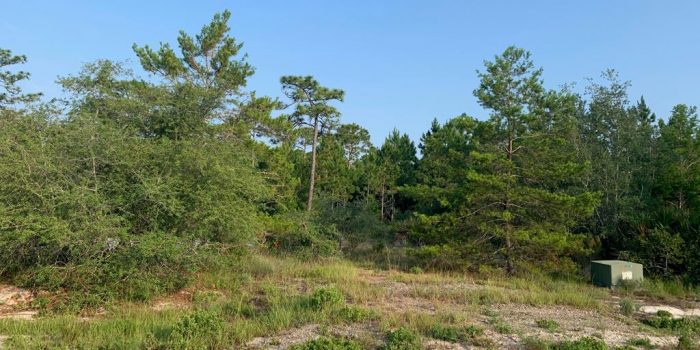 1 acre lot located in Magnolia Ridge subdivision