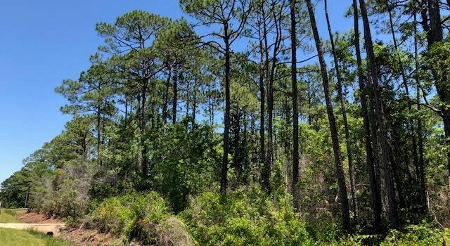 1 acre lot located in Tarpon Shores