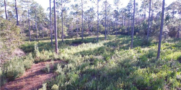 10 acre land parcel located approx. 3 miles from Carrabelle