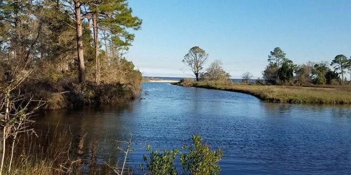 1.0 acre bayou/canal/creek lot located in Silent Waters