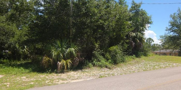 .10 acre lot located in Picketts landing