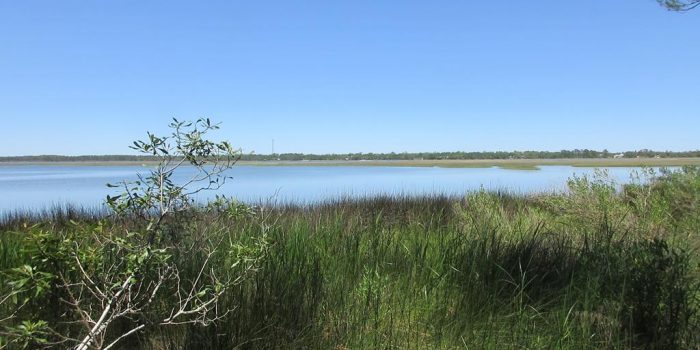 0.2740 Acre bay front in Alligator Harbor