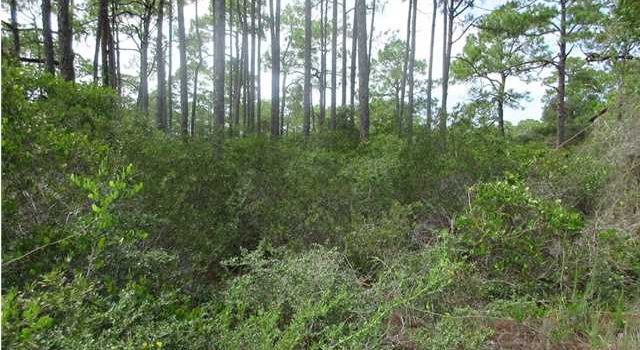 .46 Acre interior on Dog island