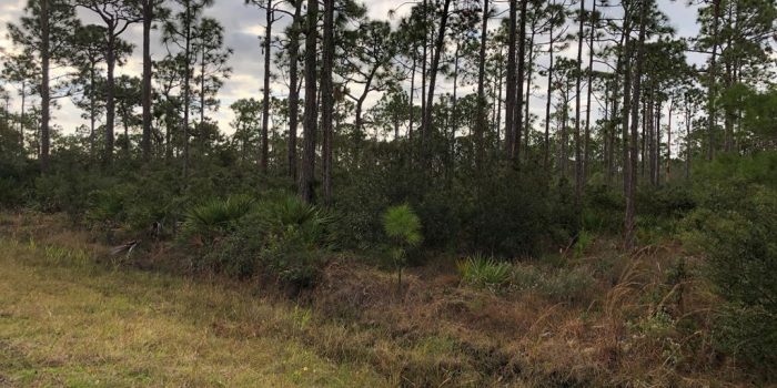 1.000 Acre lot in Magnolia Ridge - List price