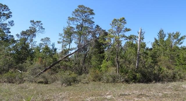 0.1640 Acre lot located in Carrabelle Landing