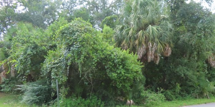0.1400 Acre lot located in the Historic North Side of Apalachicola