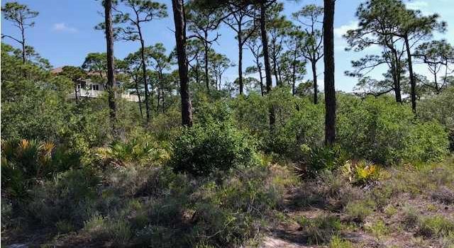 1.000 Acre gulf view lot located in Pebble Beach Village in the Plantation