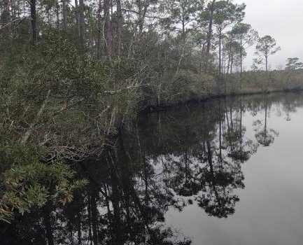 5 acre river front land parcel located in River Bend Plantation
