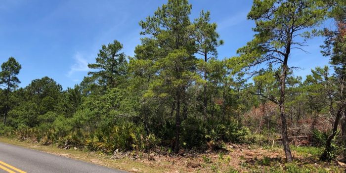 1 acre lot located near Carrabelle Beach