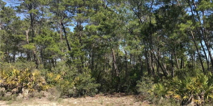 1 acre lot located in Magnolia Ridge subdivision