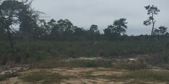 .76 acre lot located in Magnolia Ridge subdivision