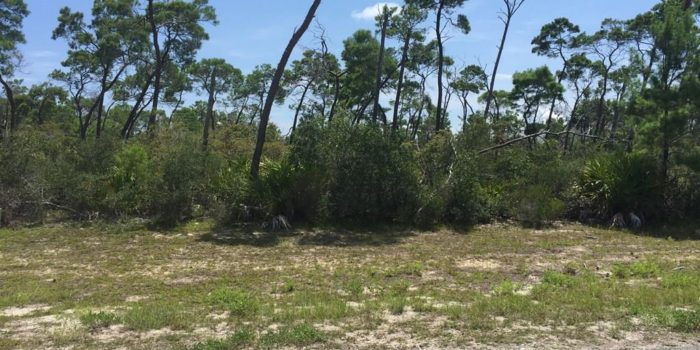 .35 acre lot located in Magnolia Ridge subdivision