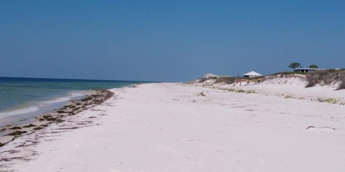 .66 acre gulf front lot located on Dog Island