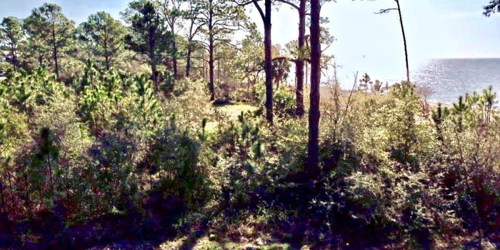 309 Sunny Spot Ln