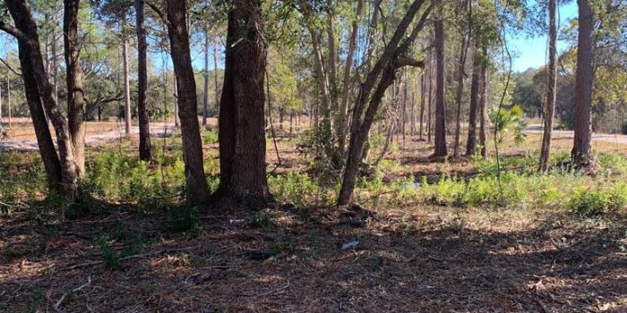 Lot 12 Oak St
